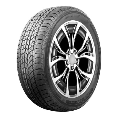 Autogreen Snow Chaser AW02 255/50 R19 107T